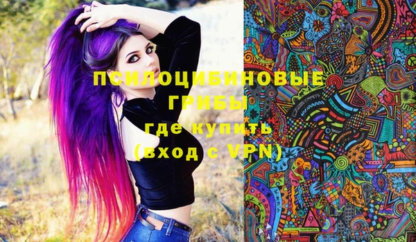 винт Армянск