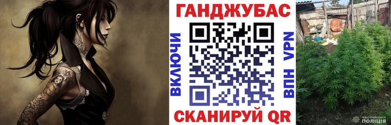 Купить где  Усть-Джегута  Марихуана сатива 